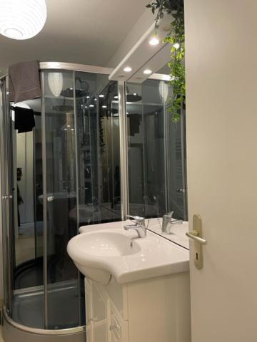 Appartement Cosy Hyper Centre Шатору Екстер'єр фото